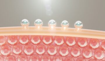 ¿Qué es la “Skin Barrier” y por qué Corea la Cuida Tanto?