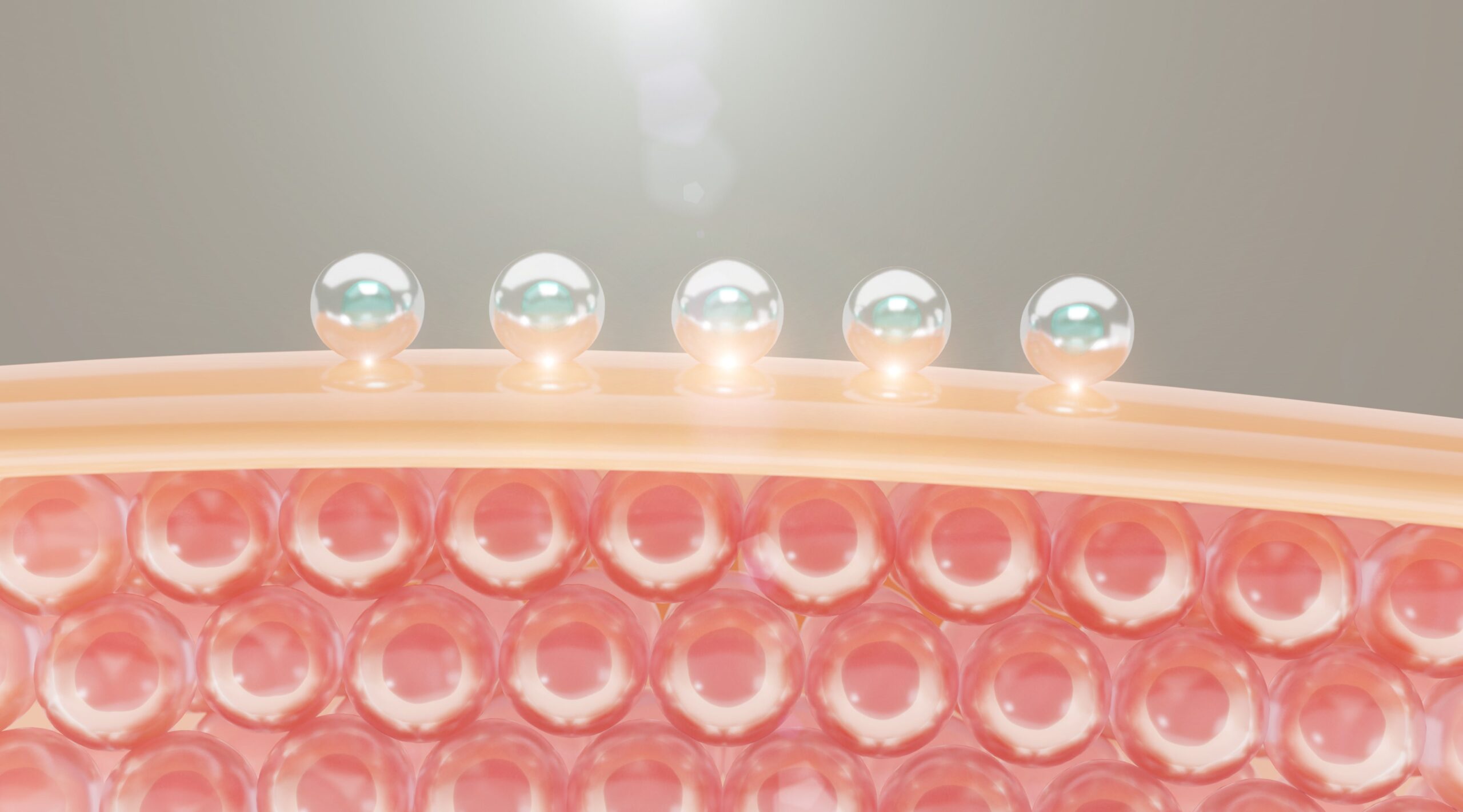 Skin Barrier- Aura Skin Cosmetic